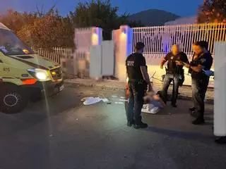 Detienen a un turista por dar un puñetazo a la cara a un joven en Alcúdia