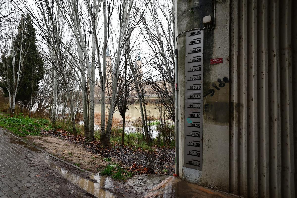 En imágenes I Así pasa el Ebro por Zaragoza tras las lluvias de los últimos días