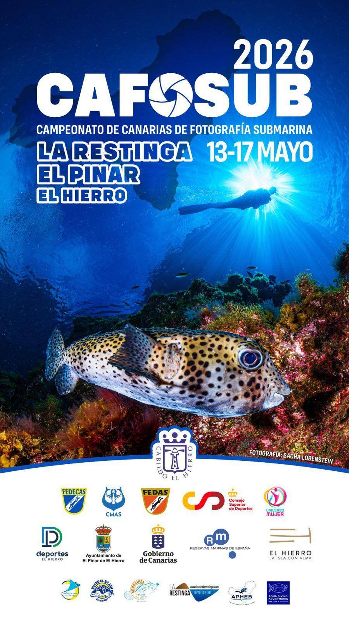 Cartel del evento.