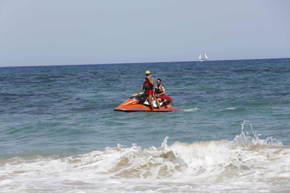 Batida en Arenales para localizar al tiburón