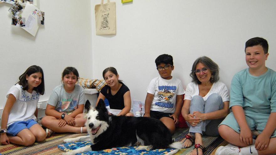 Cuentos donde los perros y gatos se llevan bien