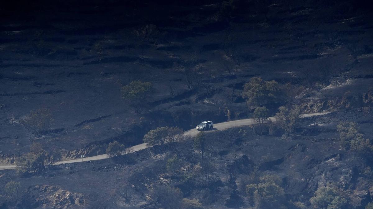 Incendio forestal en Fermoselle.