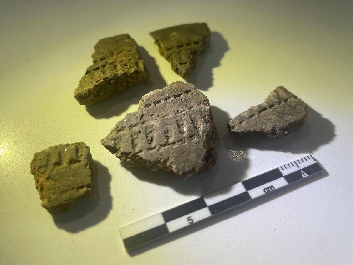 Fragmentos de cerámica con decoración cardial. Dolmen da Chan.