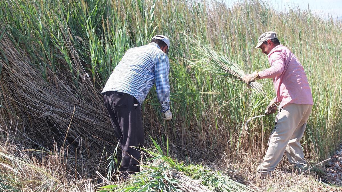 Reclaman labores de limpieza en barrancos y cauces de río para evitar inundaciones en otoño.