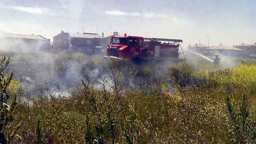 Un bombero extingue el fuego originado en la vegetación de la zona.