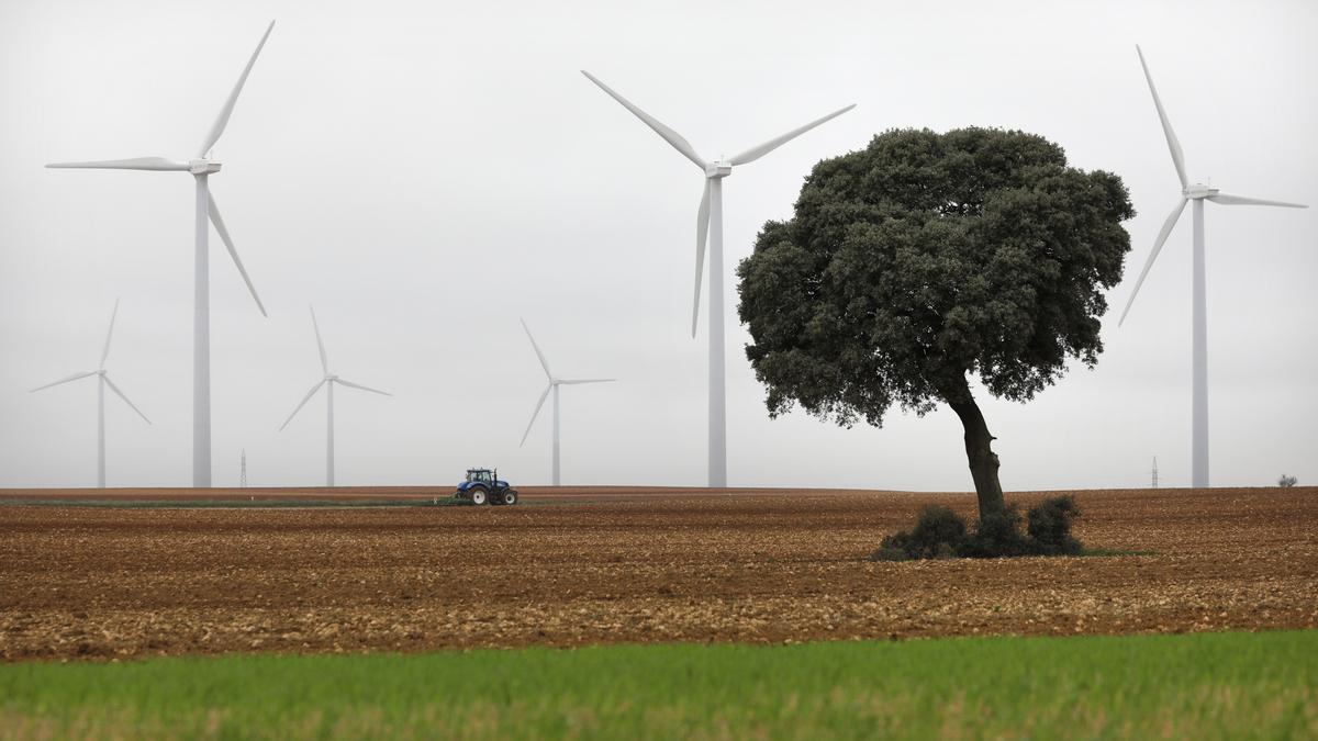 Iberdrola redoblarà els seus objectius en renovables per a continuar sent líder en la producció d’energies netes.