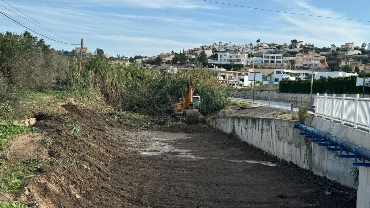 Las máquinas desbrozan la maraña de cañas invasoras