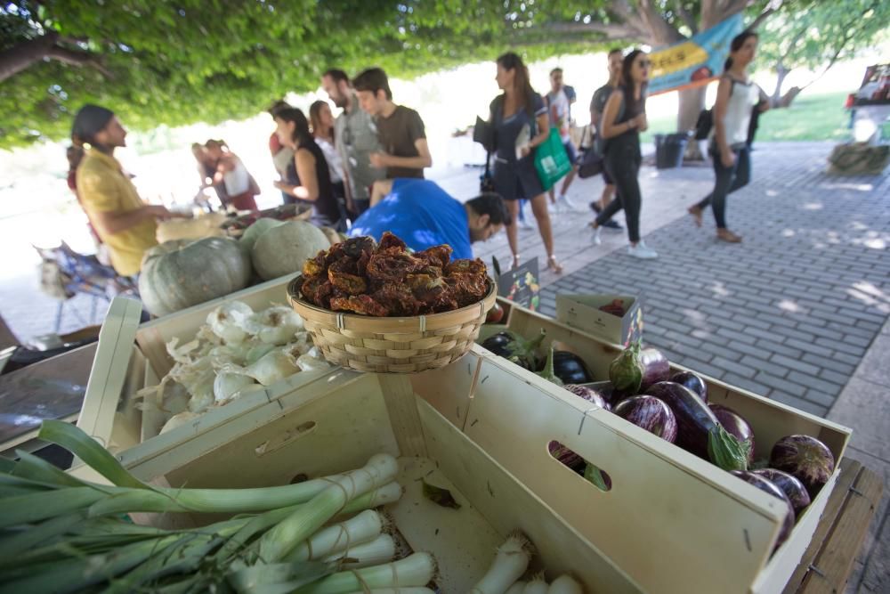 12 campanadas o comida vegana en foodtrucks para dar la Bienvenida a la UA