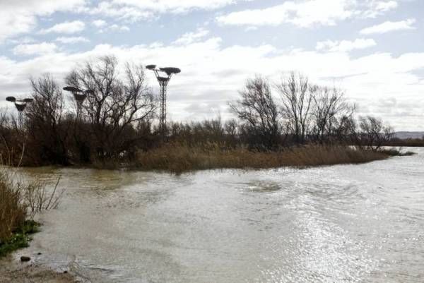 Fotogalería: La crecida del Ebro a su paso por Zaragoza