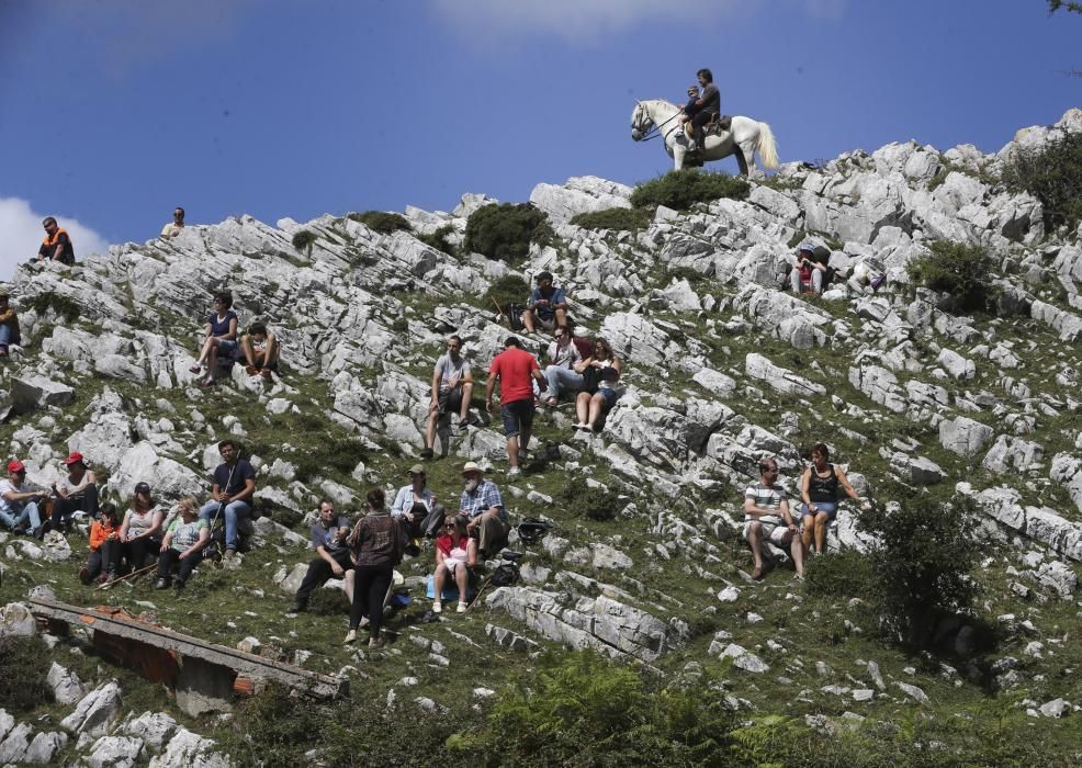 Fiesta del Asturcón en El Sueve