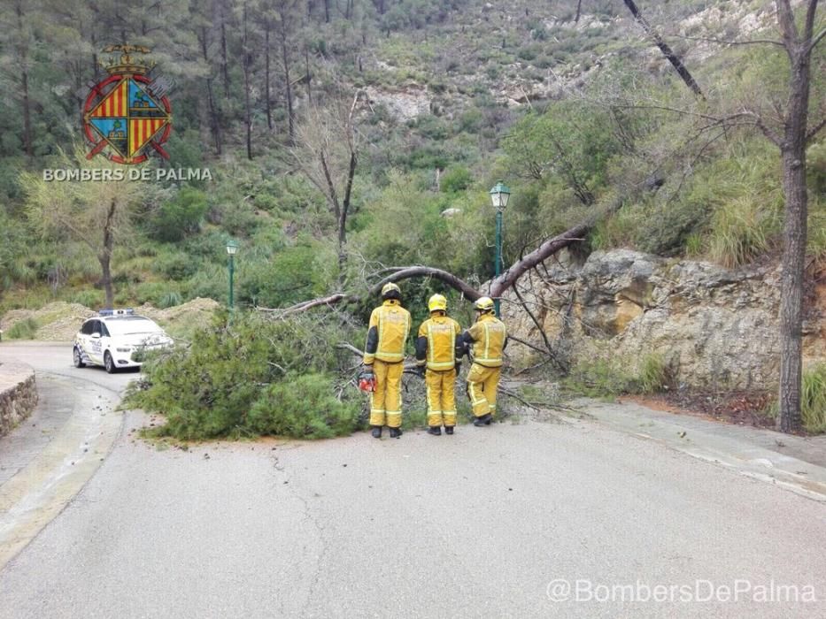 Derrumbes, inundaciones y pinos caídos al paso de la tormenta 'Hugo' por Mallorca