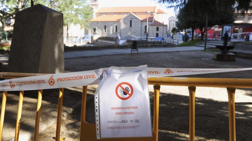 Tratamiento contra las pulgas en el parque de Praza da Vila | BERNABÉ/JAVIER LALÍN