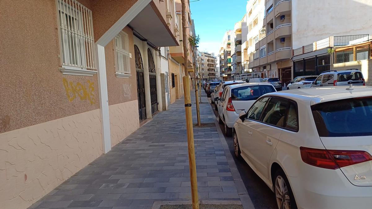 Aceras renovadas y nuevo arbolado en Caballero de Rodas