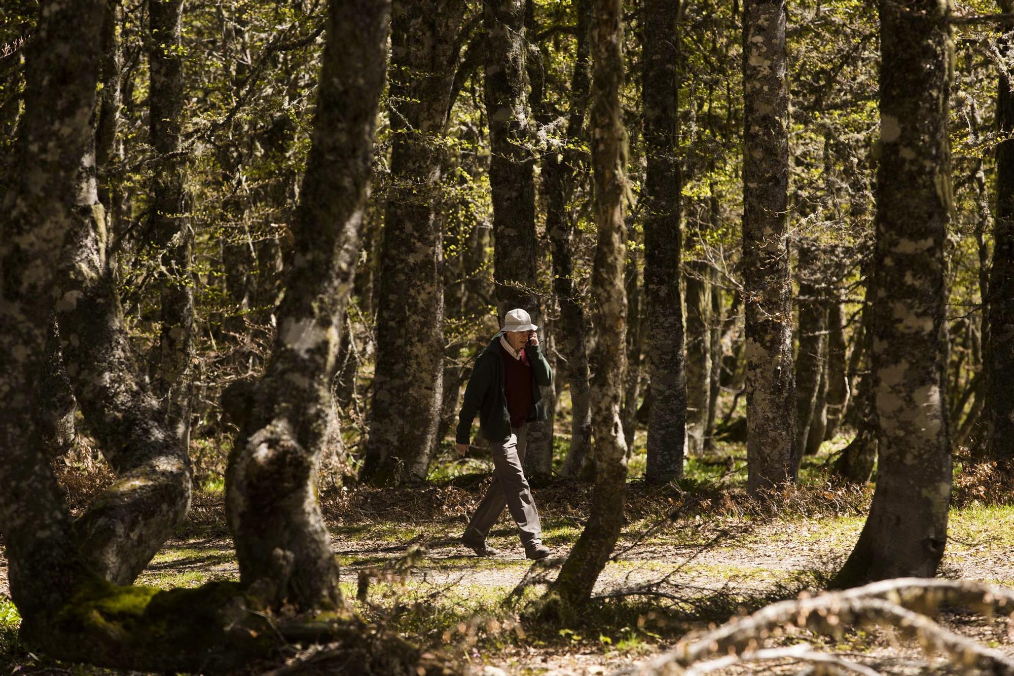 Las 100 fotos que demuestran que el otoño es la mejor época para conocer Asturias