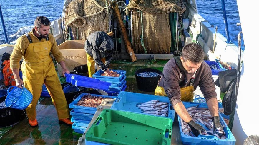 La pesca a debate: expertos internacionales analizarán en Casa Mediterráneo los recortes de la UE