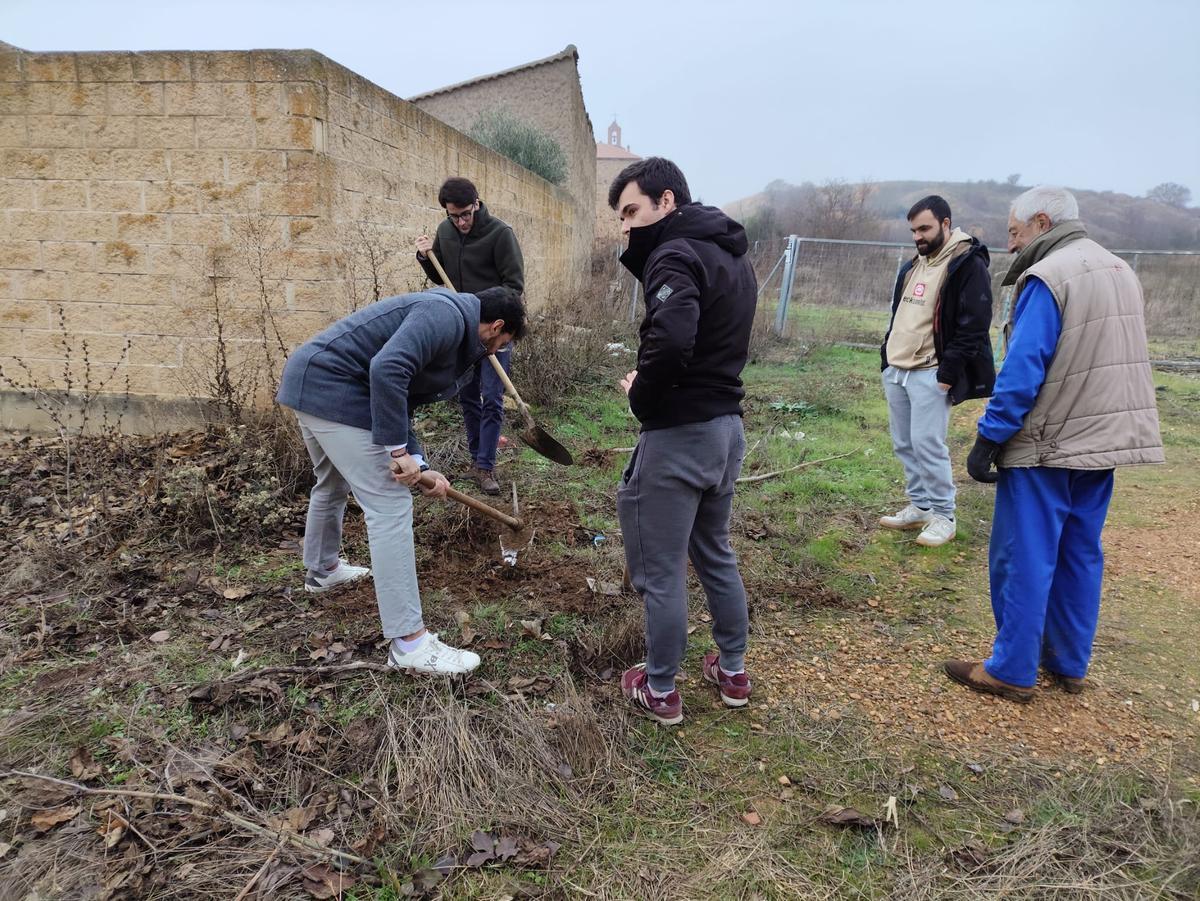 Plantaciones en Paladinos del Valle.