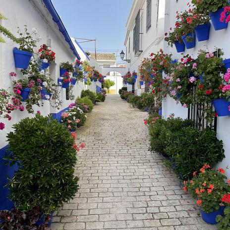 Una ruta por el corazón de Andalucía: descubre la magia de la Axarquía y la Subbética