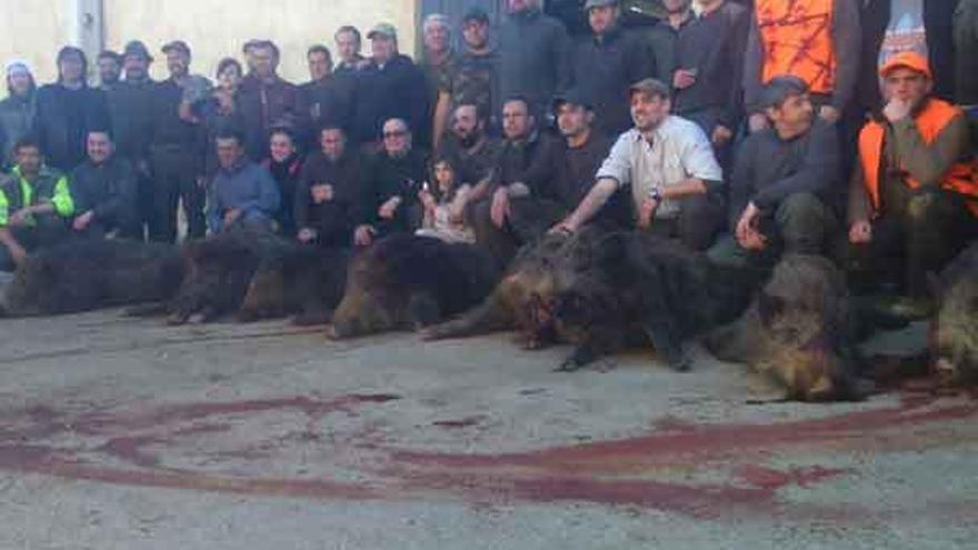 &quot;El Tobar&quot; caza, tras varios años, 14 jabalíes