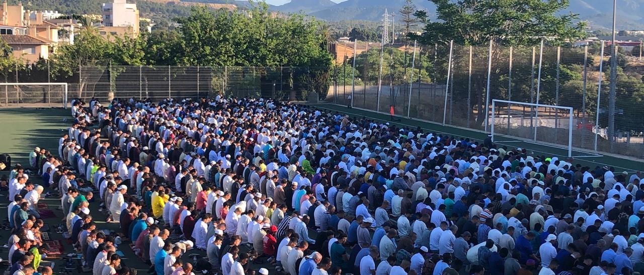 Miles de musulmanes celebran su tradicional fiesta del cordero en Palma