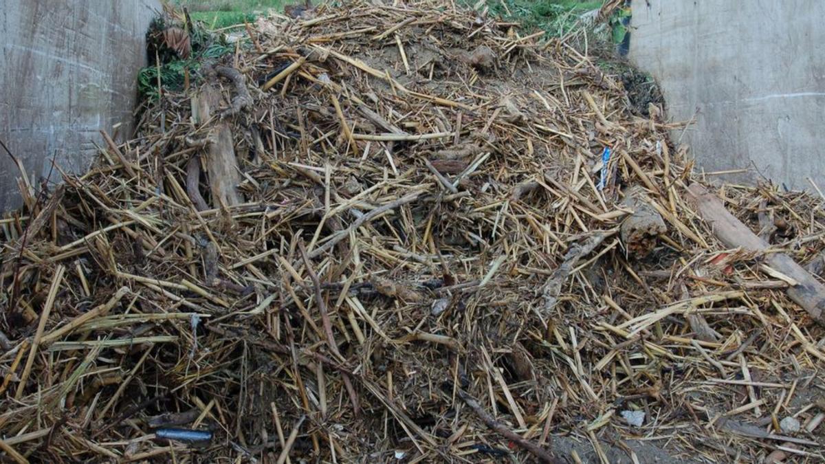 Parte de las cañas tratadas por la Mancomunidad en su planta de Casares.