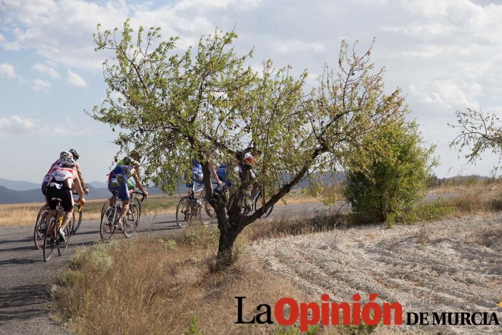 Triatlón Ciudad de Cehegín (categoría absoluta)