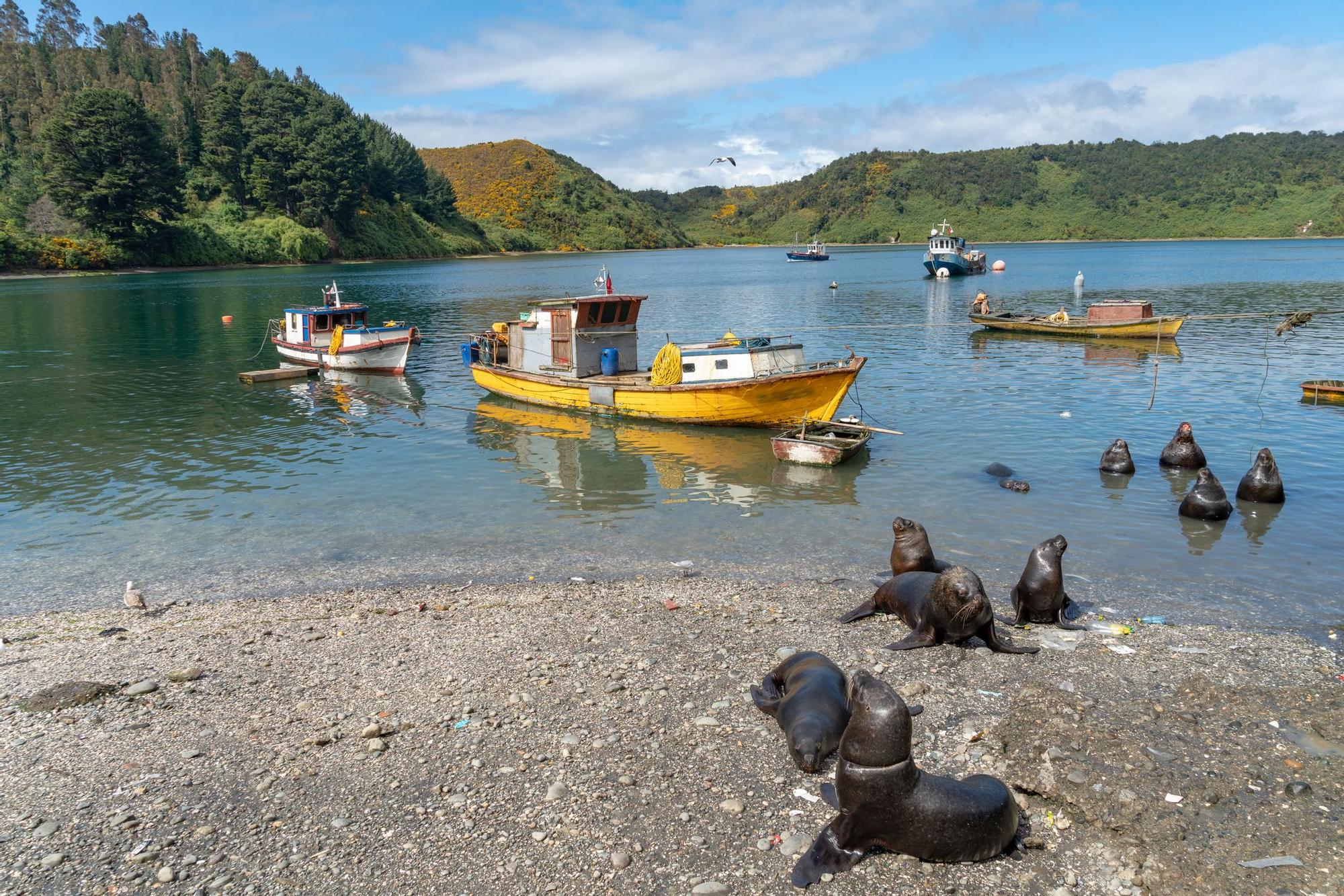 Mercado de pescado de Angelmo.