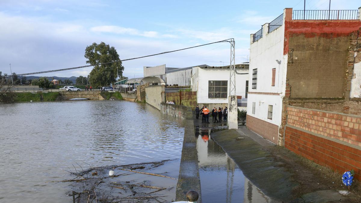 Vídeo | El Guadalquivir alcanza casi 3.000 m³ en Lora del Río con embalses en alerta roja