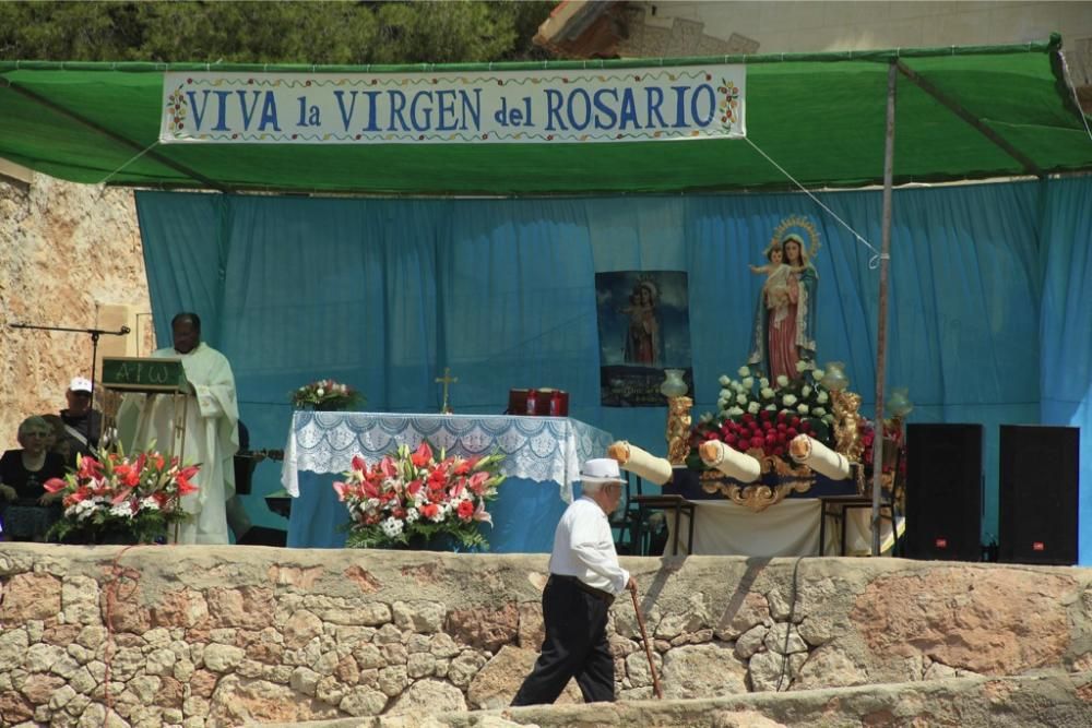 Romería de la Virgen del Rosario en Barinas