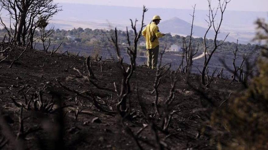 180 personas desalojadas por los incendios de la Sierra Norte de Guadalajara