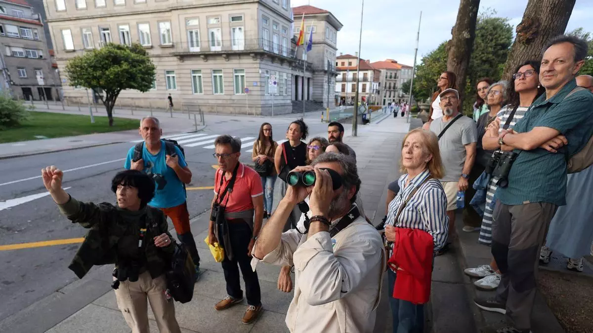 SEO BirdLife acerca los secretos de vencejos, aviones y golondrinas en un taller y paseo para avistar ejemplares por Pontevedra