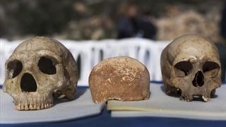 Solo un 5% de nuestros genes nos diferencia de los neandertales