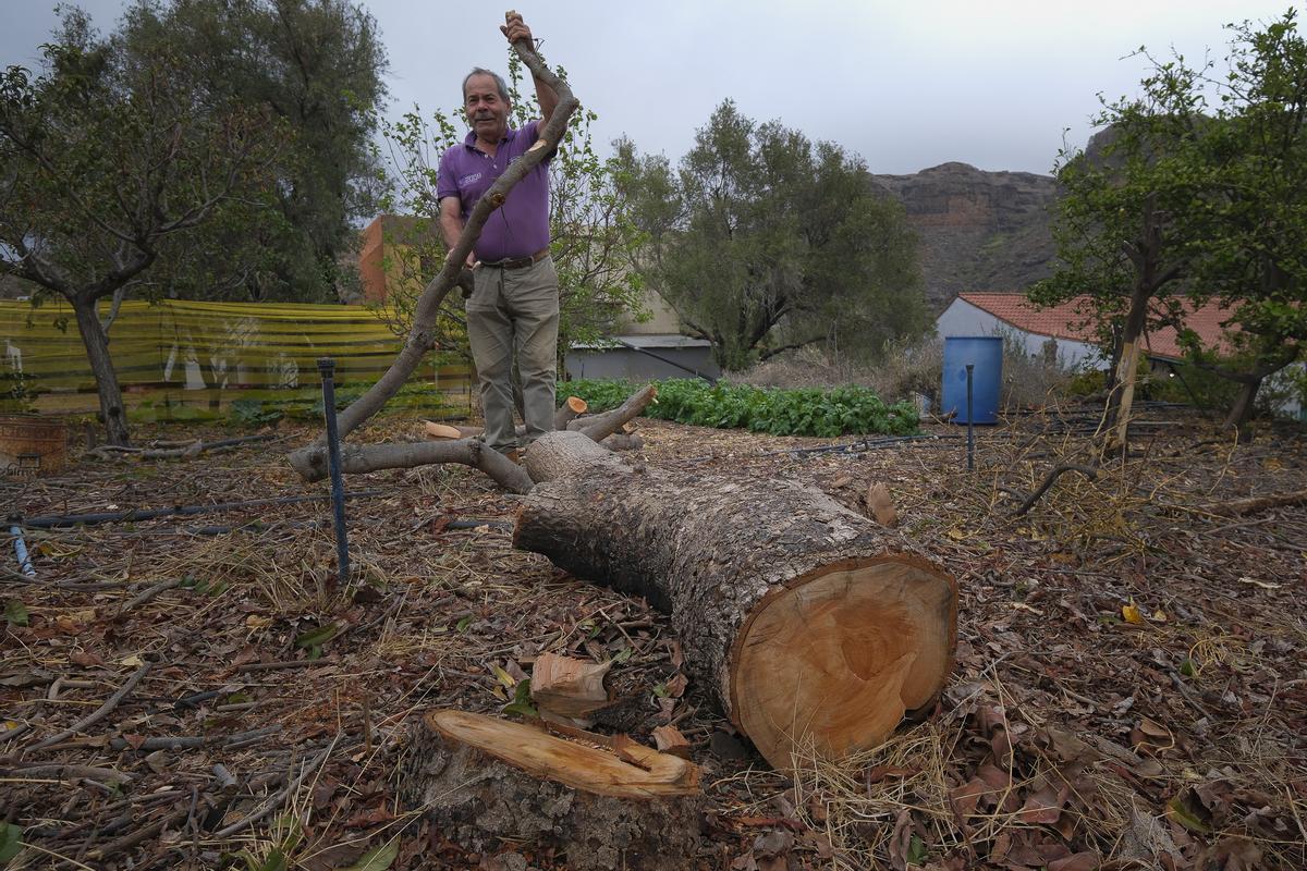 El agricultor Diego León muestra parte de su finca tras el paso de la borrasca Claudia por Gran Canaria