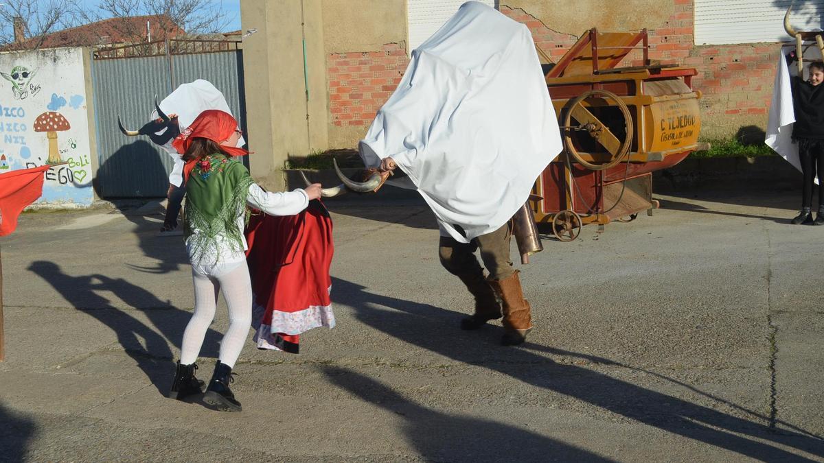 El toro lleva un gran cencerro que suena durante toda la fiesta.
