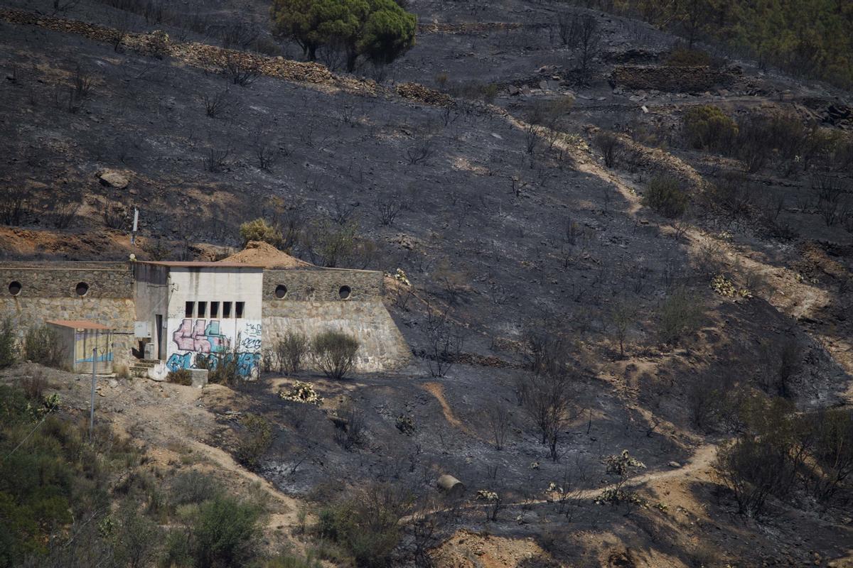 Segundo día del incendio forestal de Portbou.