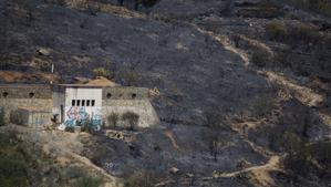 Segundo día del incendio forestal de Portbou.