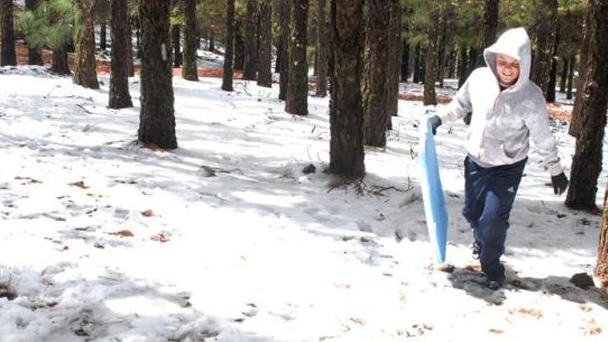 Los manchones de nieve que aún quedaban en las zonas umbrías eran rápidamente ocupadas. i YAIZA SOCORRO