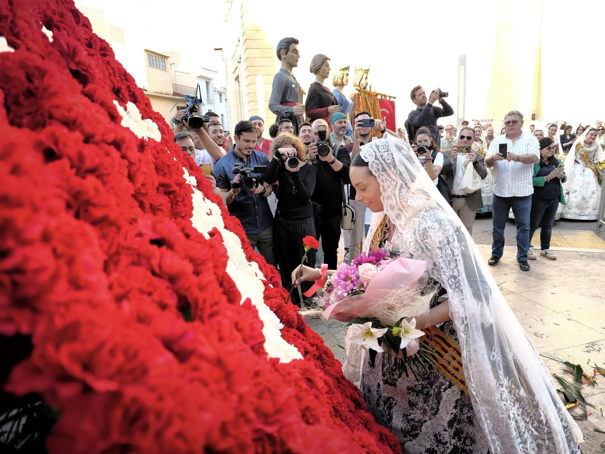 Galeria de fotos de l'ofrena de flors a Sant Pasqual en Vila-real