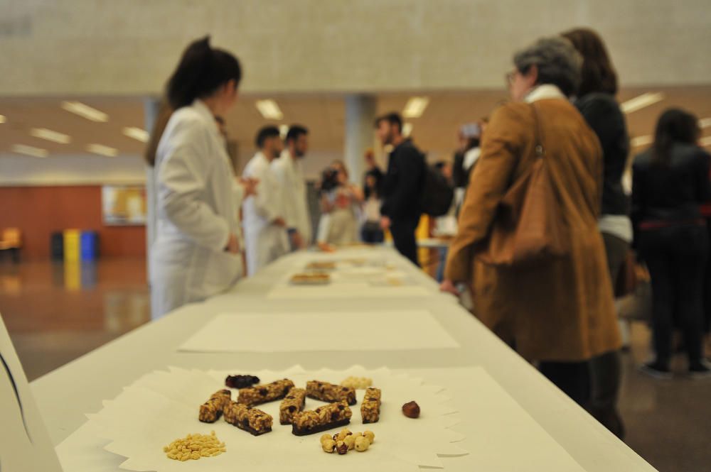 Concurso de alimentos en la UMH