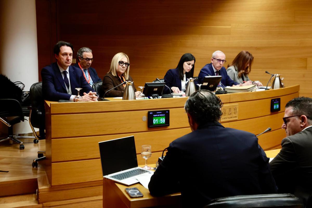 Asociaciones de víctimas declaran en la Comisión de la dana en las Corts