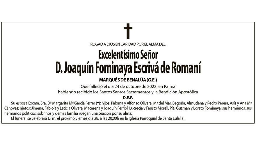 Excelentisimo Señor D. Joaquín Fominaya Escrivá de Romaní Marqués de Benalúa
