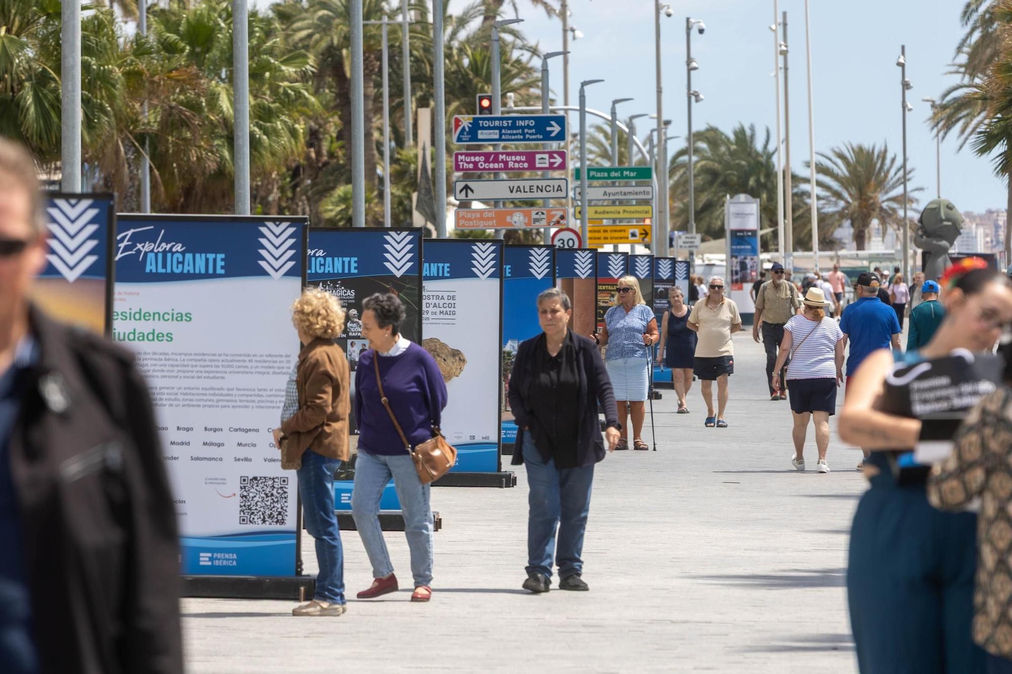 Explora Alicante en el paseo del puerto