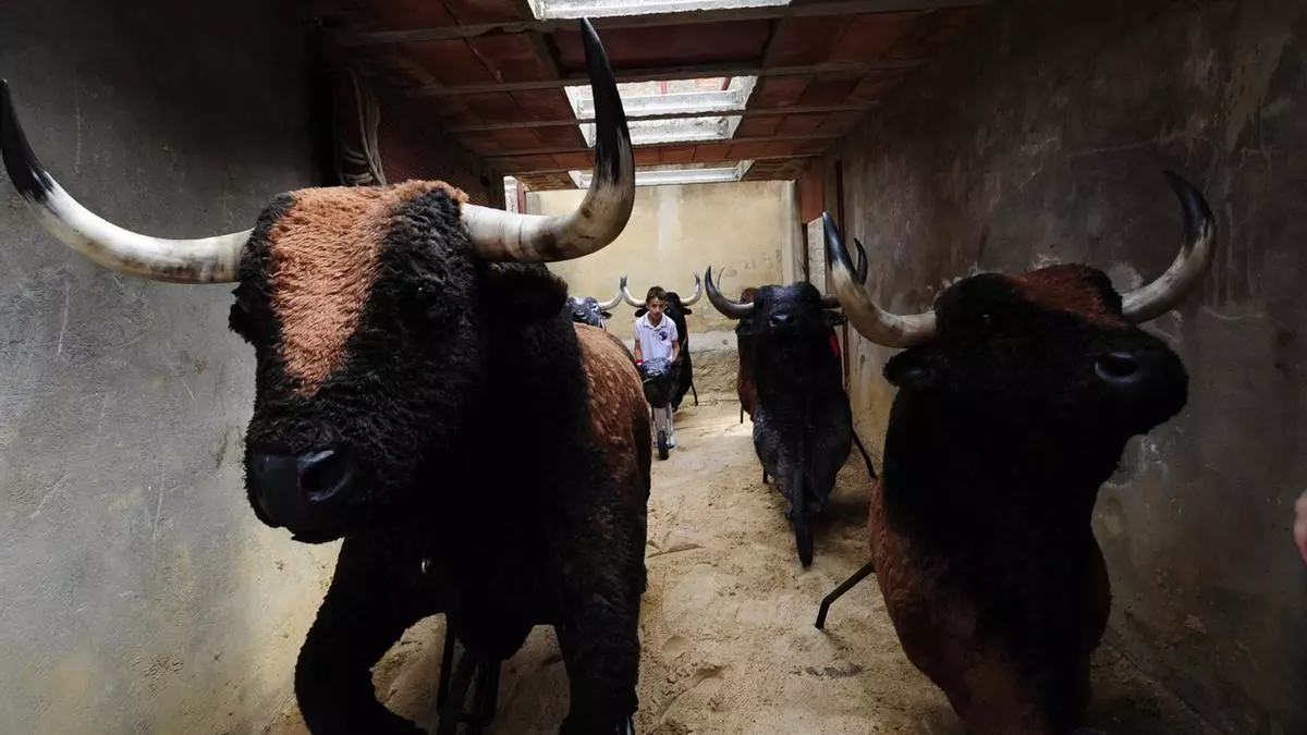Gente del Toro de Benavente cumple 20 años y lo celebrará con sorpresas
