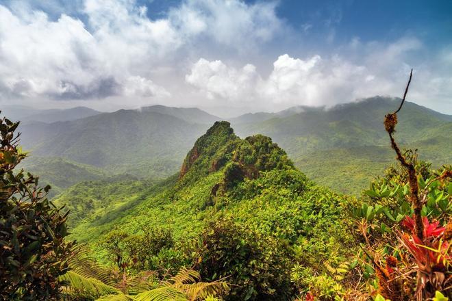 El Yunque, destinos New York Times