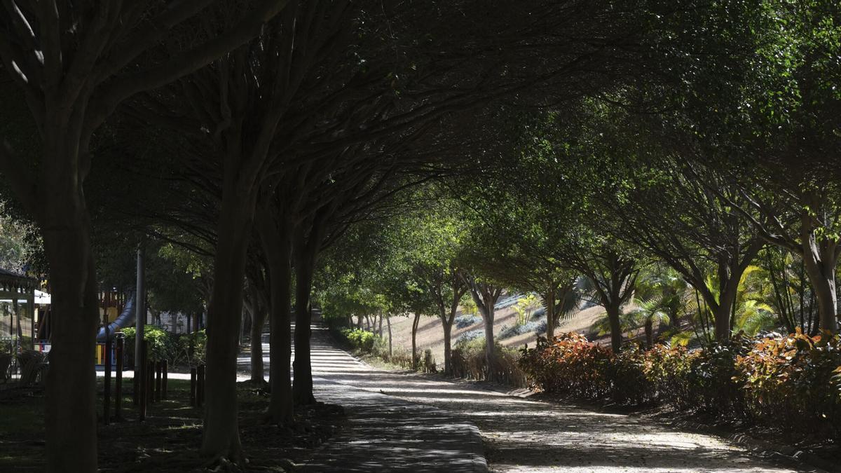¿Dónde huir del calor en Las Palmas de Gran Canaria? Estas son las zonas más frescas de la capital