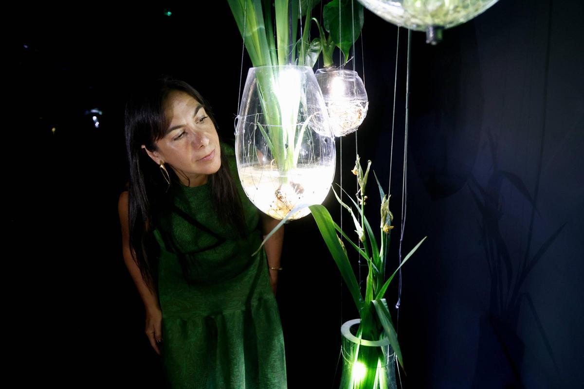 Tania Candiani inaugura en el IVAM la exposición inmersiva 'Radix'