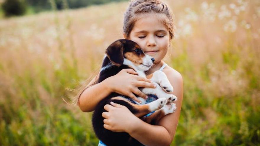 La llista dels gossos més recomanats per viure amb nens