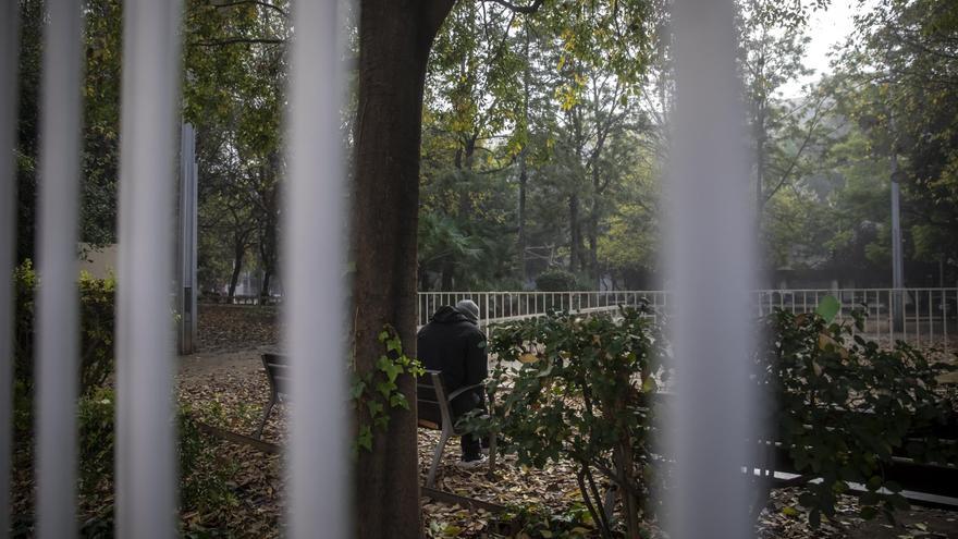 Cort cierra los parques de Palma por la llegada de la dana