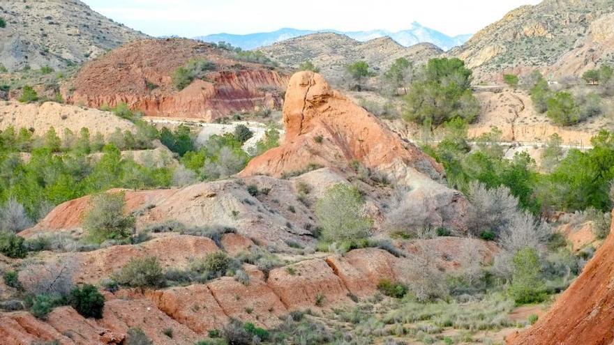 Paraje natural municipal de Los Aljezares de Aspe.