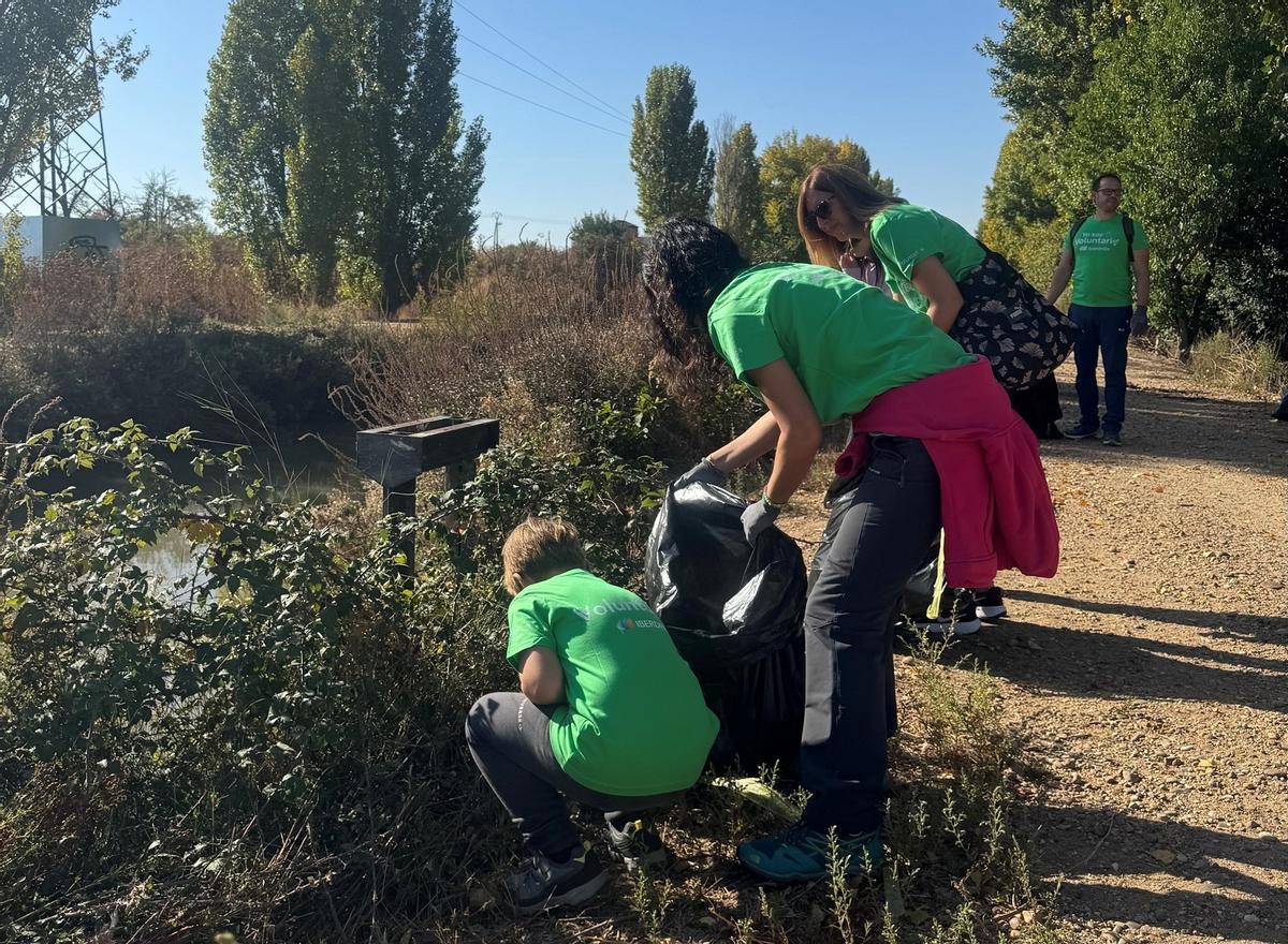 Voluntarios de Iberdrola en tareas limpieza naturaleza.