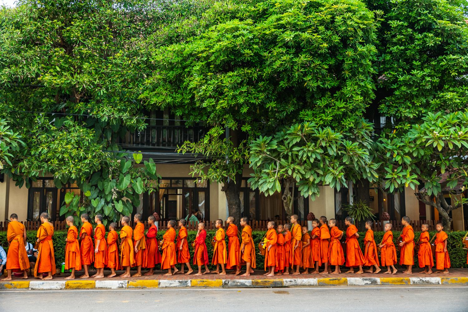 Monjes budistas reciben arroz y comida de los lugareños durante un ritual conocido como Tak Bat.